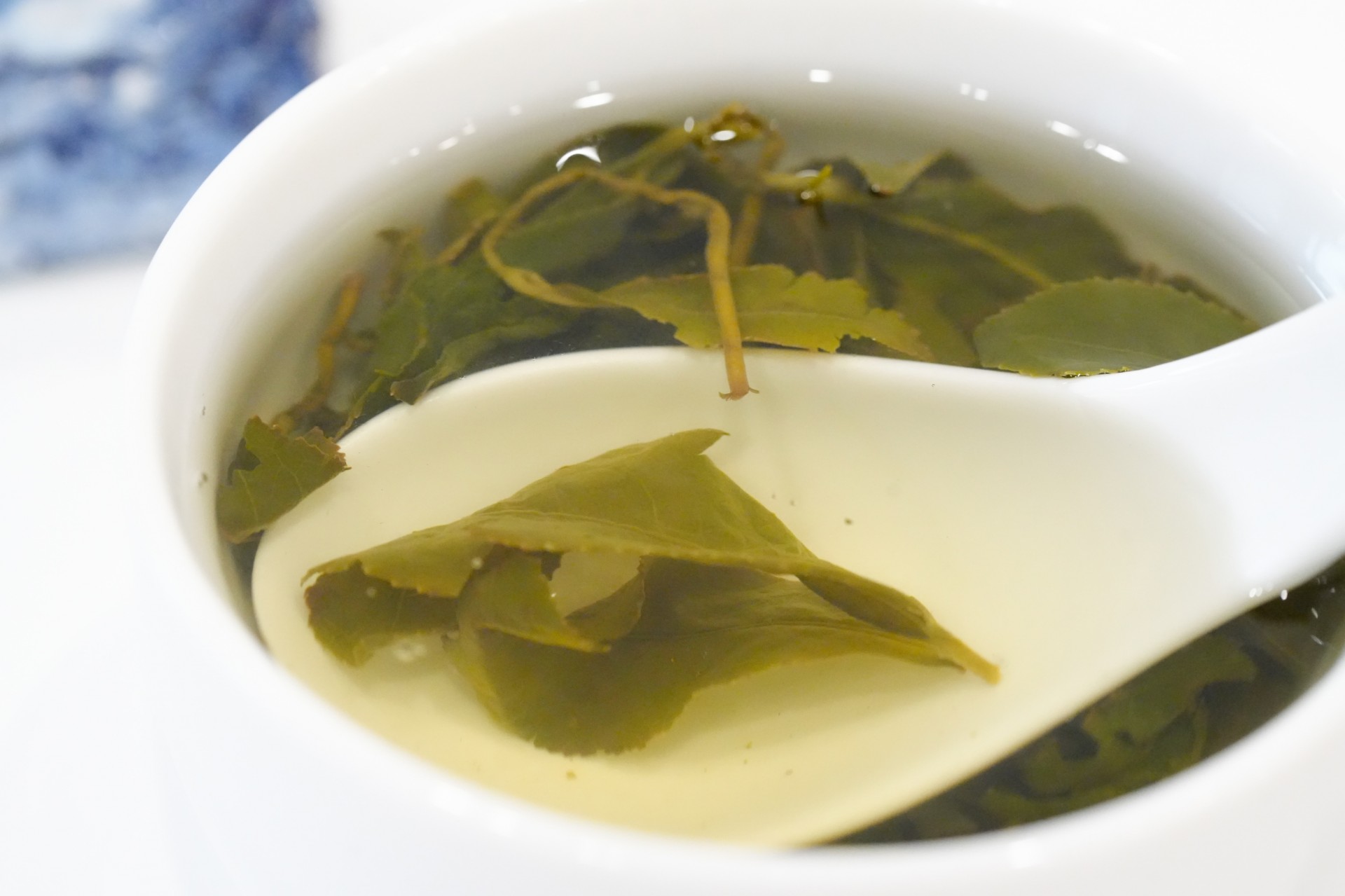 福壽山茶葉樣貌特寫